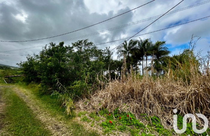 Vente Terrain 546m&sup2; Saint Joseph