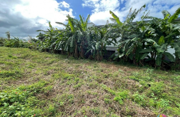 Vente Terrain Saint-Benoît
