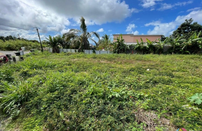 Vente Terrain Saint-Benoît