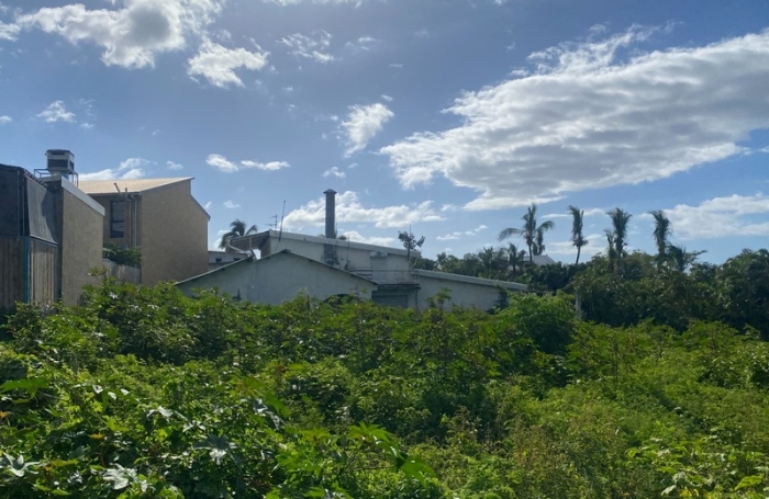 Vente Terrain 1600m&sup2; Sainte Marie