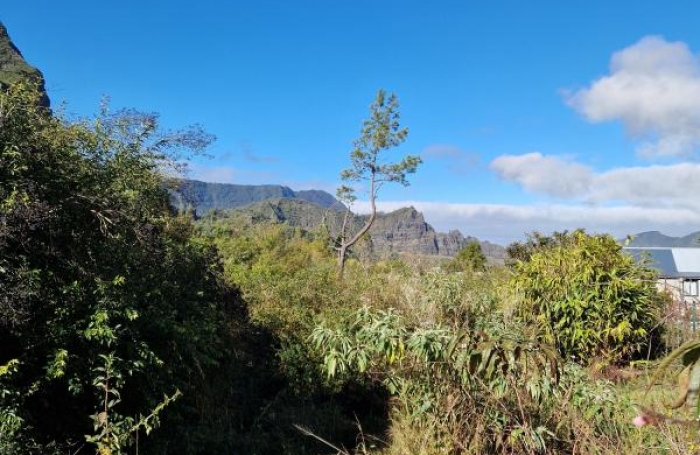 Vente Terrain 2895m&sup2; Cilaos