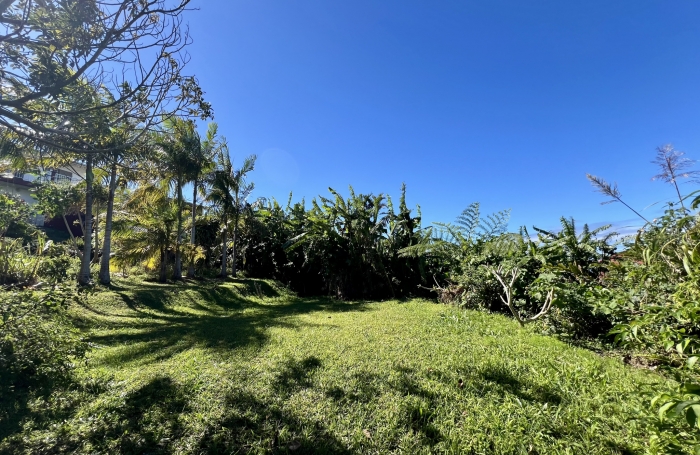 Vente Terrain 97429