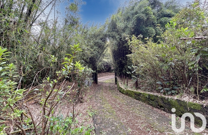 Vente Terrain 7500m&sup2; Saint Denis