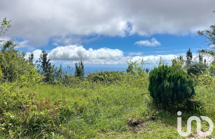 Vente Terrain 7500m&sup2; Saint Denis