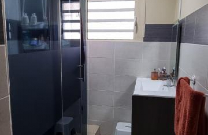 Vente Maison 255m&sup2; 6 pi&#232;ces Saint Louis