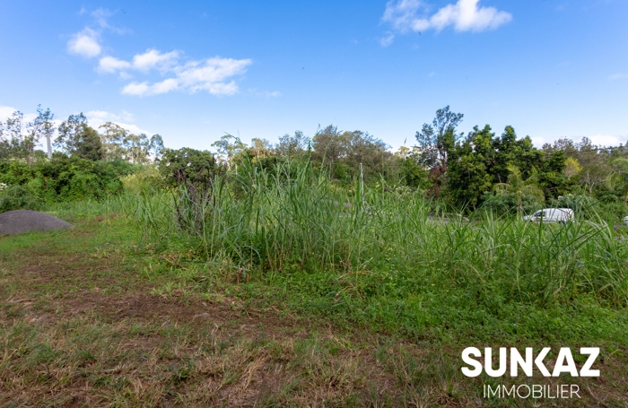 Vente Terrain 843m² Le Tampon