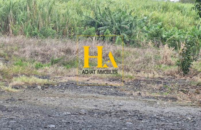 Vente Terrain 474m² Sainte Rose