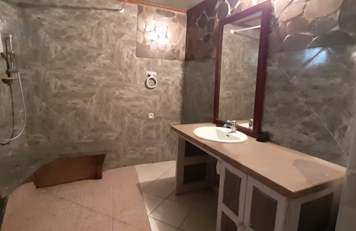 Vente Maison 265m&sup2; 12 pi&#232;ces Rivière Saint Louis