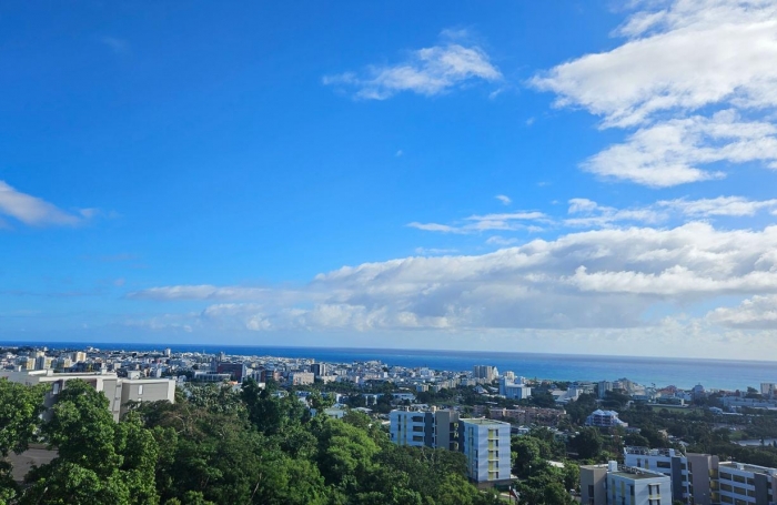 Vente Appartement 97400