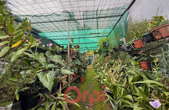 Vente Maison 116m&sup2; 3 pi&#232;ces Le Tampon