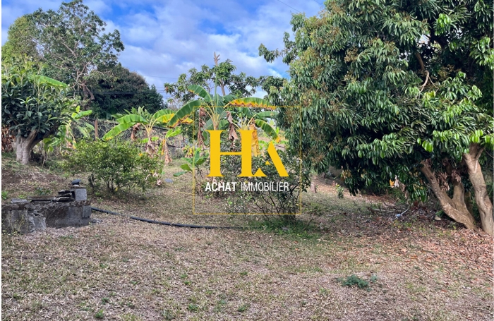 Vente Maison 257.7m² 12 pièces Saint Gilles Les Hauts