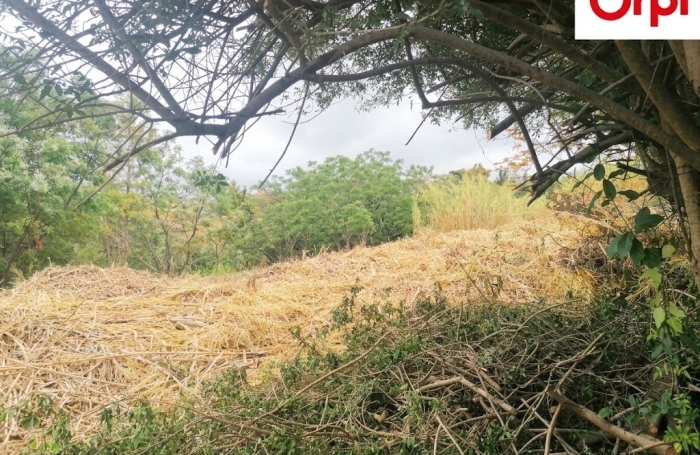 Vente Terrain 786m&sup2; La Saline les Hauts