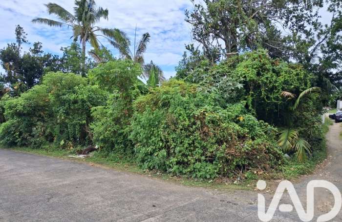 Vente Terrain 97470