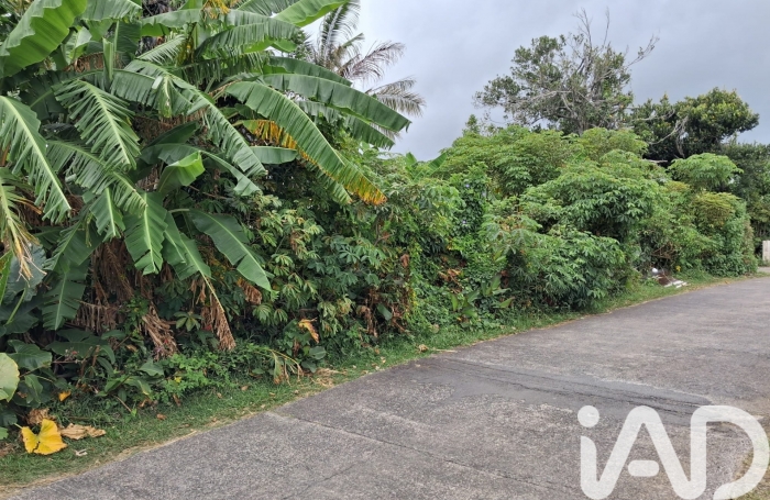 Vente Terrain 410m&sup2; Saint-Benoît