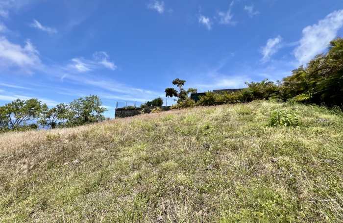 SAINT PIERRE 97410 - TERRAIN &Agrave; B&Acirc;TIR - ACC&Egrave;S FACILE - VUE IMPRENABLE - PROCHE COMMODIT&Eacute;S - CADRE VERDOYANT