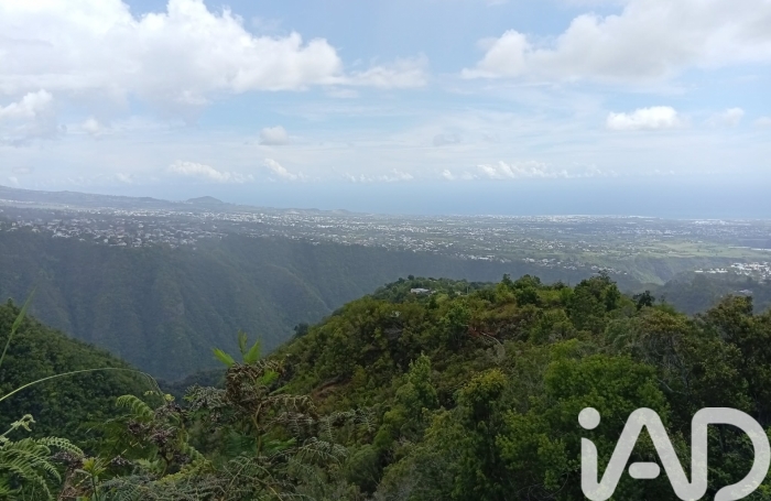 Vente Terrain 16014m&sup2; L'Entre Deux