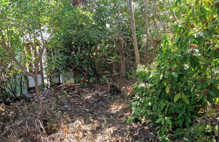 &Agrave; VENDRE   MAISON &Agrave; R&Eacute;NOVER   POTENTIEL EXCEPTIONNEL   SAINT-PIERRE (97410) GRANDS BOIS &agrave; 160 500 &euro; FAI