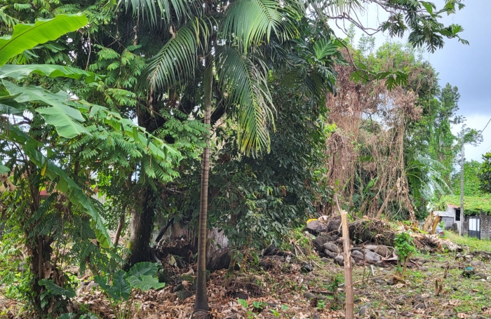 Terrain b&acirc;ti id&eacute;al pour un projet touristique