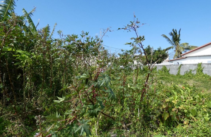 Vente Terrain 511m&sup2; Saint-Beno&icirc;t