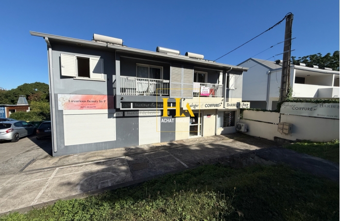 Vente Immeuble 247m&sup2; 8 pi&egrave;ces Rivi&egrave;re Saint Louis