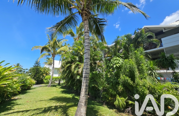 Vente Appartement 25m&sup2; 2 pièces Saint Gilles les Bains