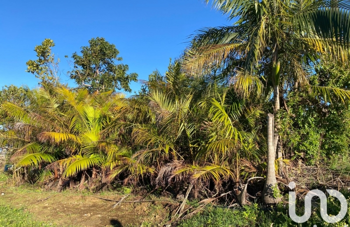 Vente Maison 90m&sup2; 6 pièces Les Avirons