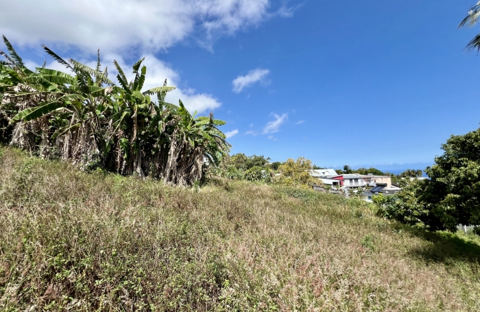 Vente Terrain 97429