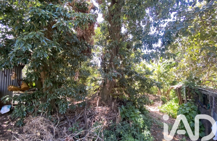 Vente Maison 100m&sup2; 3 pièces Saint Louis