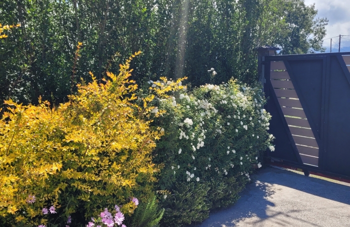 Vente Maison 140m&sup2; 5 pièces Plaine des Cafres