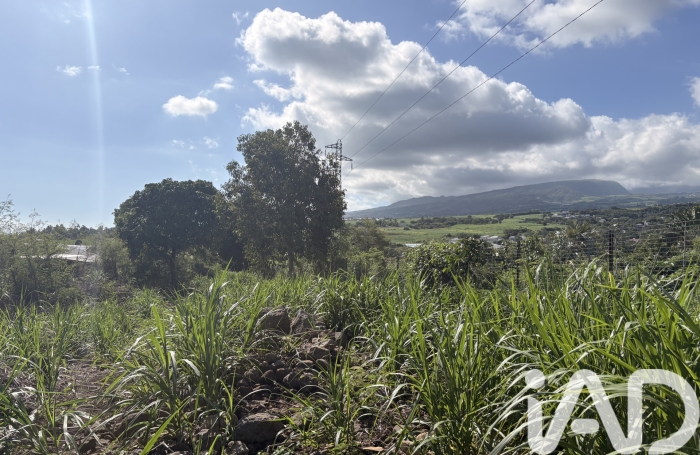Vente Terrain 97421