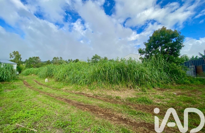 Vente Terrain 97426