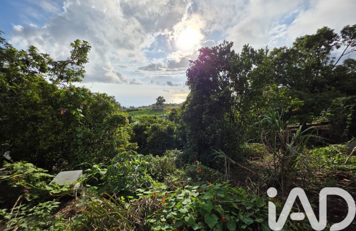 Vente Maison 90m&sup2; 4 pièces Piton Saint Leu