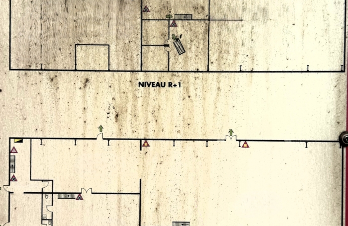 Entrep&ocirc;t - Local d'activit&eacute;s 1590 m2 dont 1000 m2 en RDC secteur Le Port