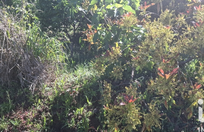 Vente Terrain 446m&sup2; Plaine des Cafres