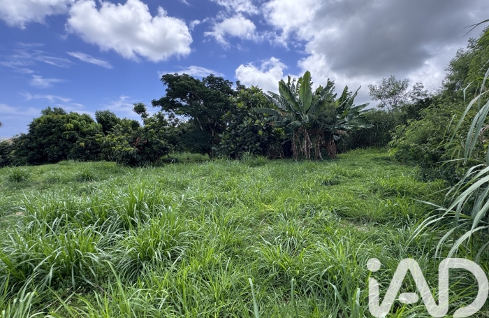 Vente Terrain 1854m&sup2; Sainte Marie