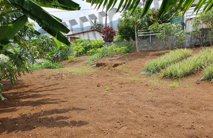 Vente Terrain 300m&sup2; Rivi&egrave;re Saint Louis