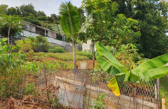 Vente Terrain 300m&sup2; Rivi&egrave;re Saint Louis