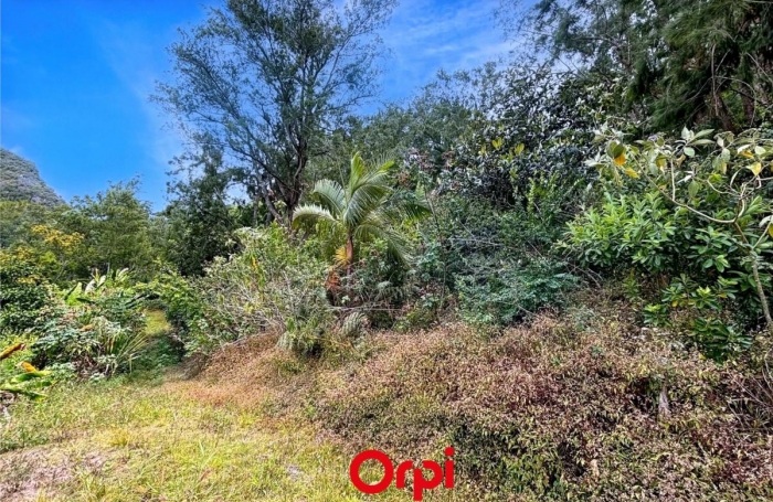 Vente Terrain 4289m&sup2; Salazie