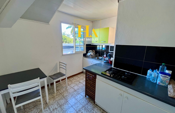 Vente Immeuble 233.2m&sup2; 12 pi&egrave;ces Rivi&egrave;re Saint Louis