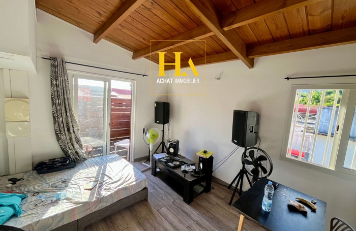 Vente Immeuble 233.2m&sup2; 12 pi&egrave;ces Rivi&egrave;re Saint Louis