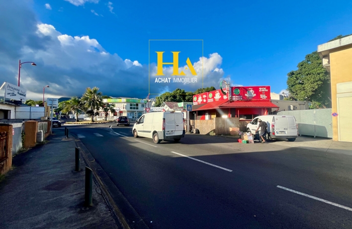 Vente Immeuble 233.2m&sup2; 12 pi&egrave;ces Rivi&egrave;re Saint Louis