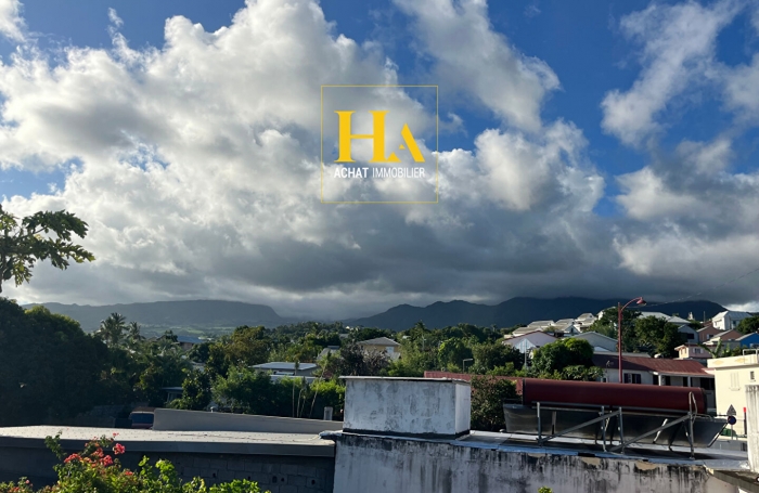 Vente Immeuble 233.2m&sup2; 12 pi&egrave;ces Rivi&egrave;re Saint Louis