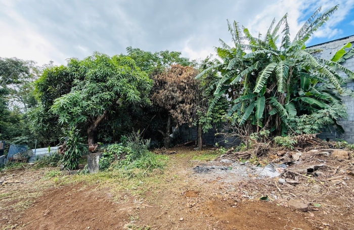 Vente Terrain 97410