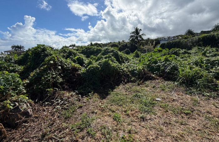 Vente Terrain 819m&sup2; La Possession