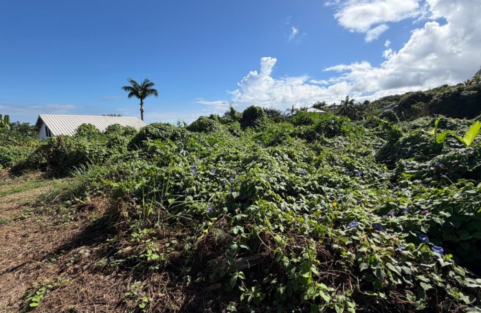 Vente Terrain 819m&sup2; La Possession