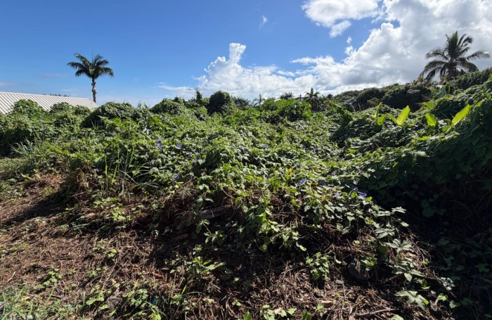 Vente Terrain 819m&sup2; La Possession