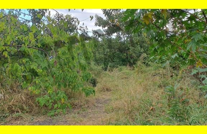Vente Terrain 