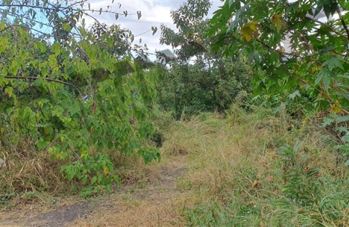 Vente Terrain 927m&sup2; Piton Saint Leu