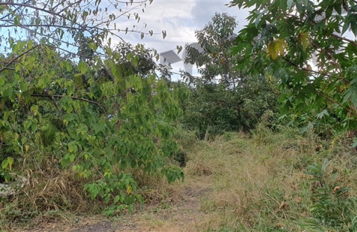 Vente Terrain 927m&sup2; Piton Saint Leu