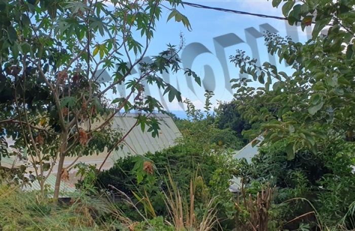 Vente Terrain 927m&sup2; Piton Saint Leu